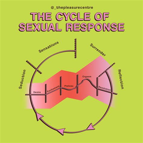 how does sexual response work — the pleasure centre