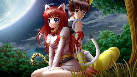 Anime Boy Girl Cat In Nature Night Hd Desktop Wallpaper