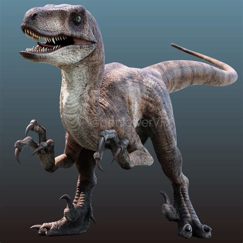 923 Best Velociraptor Images On Pholder Jurassicworldevo Dinosaurs