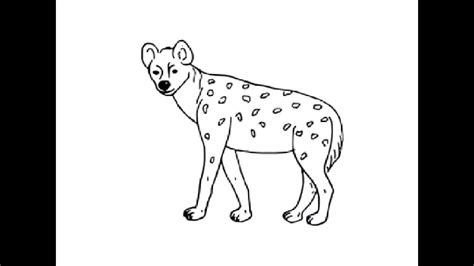 How To Draw A Cartoon Hyena Effortbroad24