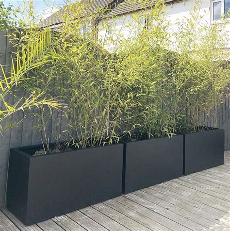 Three Black Planters With Plants In Them On A Wooden Deck