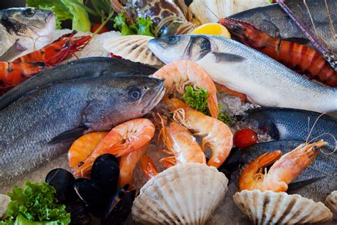 Fresh Seafood Free Stock Photo Public Domain Pictures