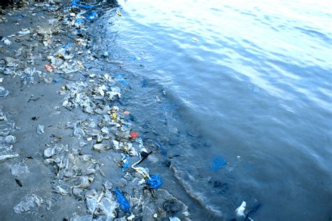 Earthjustice On Twitter Marine Pollution Oceans Of The World Pollution