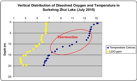 Vertical Distribution Of Dissolved Oxygen And Temperature In Surkheng