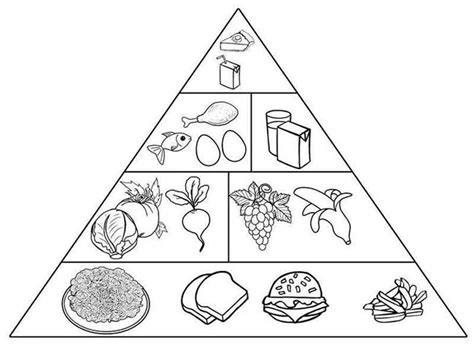 Piramide Alimentar Para Colorir Sexiz Pix
