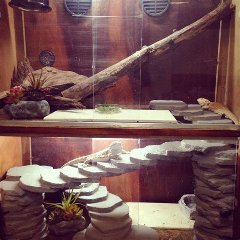 Find all the pet supplies your furry, fishy, scaly or feathered friend needs to feel happy, safe and clean. My bearded dragon cage... Made from a broken dresser with custom staircase! :) | Bearded dragon ...