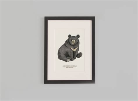 Asiatic Black Bear Wall Art Print Bear Illustration Art Etsy