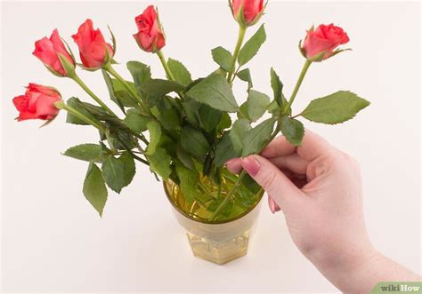 We did not find results for: Make Fresh Flowers Last Longer | Flowers last longer, How ...