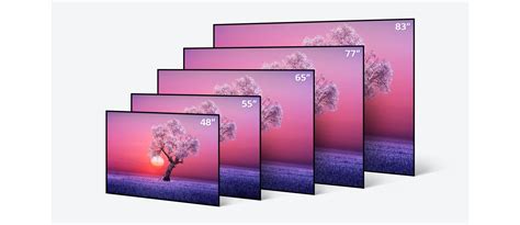 Lg Oled Tv Sizes Hot Sex Picture
