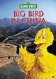 Amazon.com: Sesame Street - Big Bird in China: Caroll Spinney, Brian ...