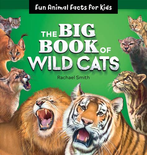 The Big Book Of Wild Cats Fun Animal Facts For Kids By Rachael Smith