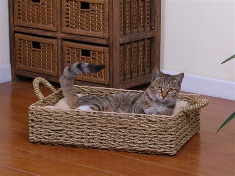 Seagrass Boxed Cat Bed With Pillow