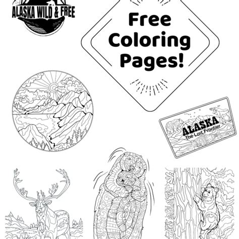coloring pages  activities desert chica