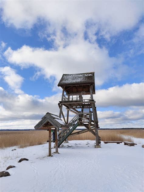 Path Leads To The Bird Watching Tower Wooden Observation Tower Stands