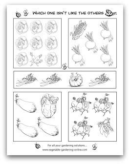 printable worksheets  gardening learning   read