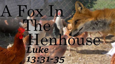 02 21 16 A Fox In The Henhouse Youtube