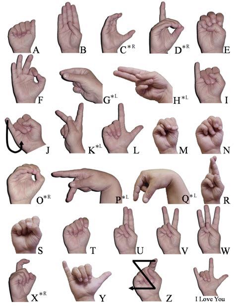 Word People Learn Basic Sign Language Proedit