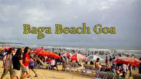 Baga Beach Goa History And Nearby Attrection And Pictures