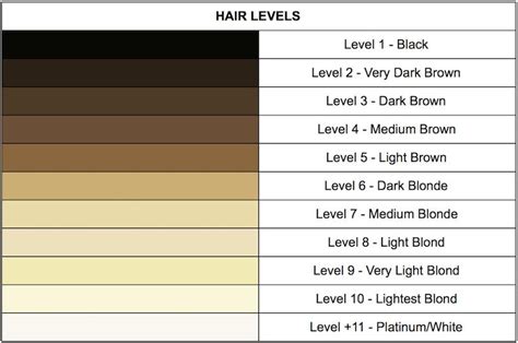 Very light blonde level 8: An Introduction to Hair Levels and Tones: Finding Your ...