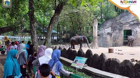 Informasi Lengkap Harga Tiket Masuk Kebun Binatang Ragunan Jakarta