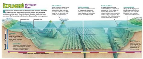 Ocean Landforms Diagram Quizlet