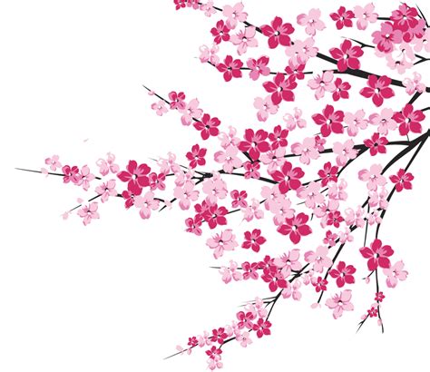 Bremmatic Transparent Background Cherry Blossom Branch Png
