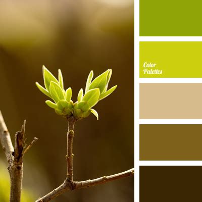 14 unforgettable color palettes to help you design your own. greenish-brown | Page 2 of 2 | Color Palette Ideas