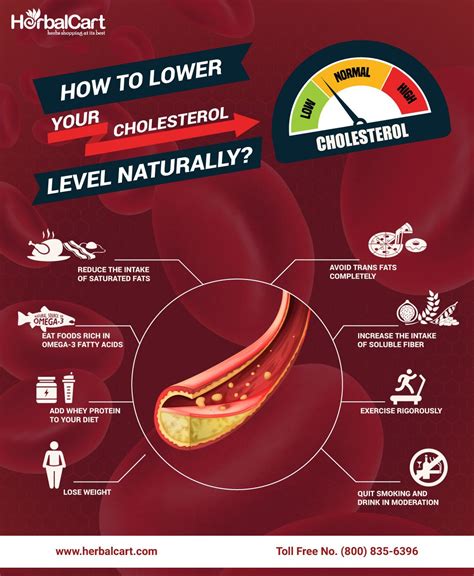How To Lower Your Cholesterol Level Naturally 1 Reduce The