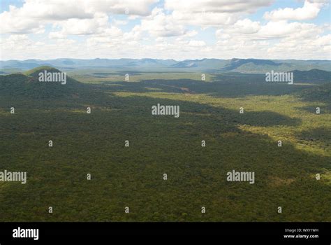 Remote Wilderness Of Tanzanian Woodlands Stock Photo Alamy