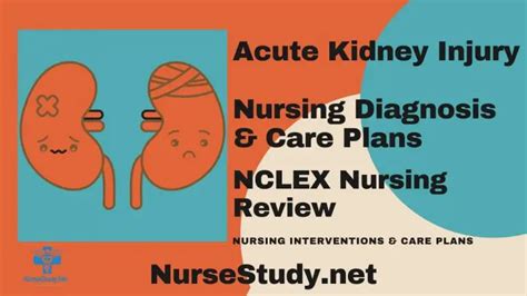 Acute Kidney Injury Nursing Diagnosis And Nursing Care Plan