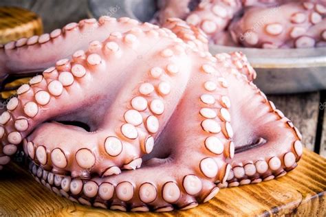 Whole Fresh Raw Octopus On Cutting Board Closeup — 스톡 사진 © Nblxer 76269791