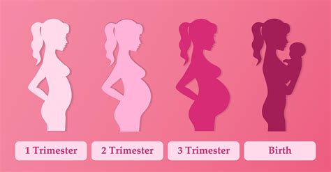 First Trimester Pregnancy Health Tips Elitecare Emergency Hospital