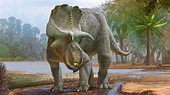 Menefeeceratops Sealeyi: el dinosaurio de hace 82 millones de años ...