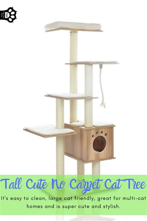Tall Cute No Carpet Cat Tree Review Cool Cat Tree Plans