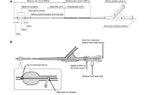 Double Lumen Microballoon Catheter A Diagram Of The Double Lumen Download Scientific Diagram