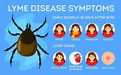 Know Your Lyme Disease Treatment Options | Now Accepting Insurance