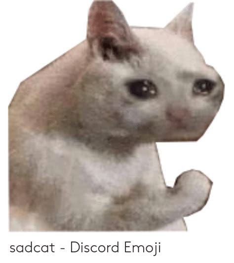 Download Sad Cat Hearts Meme Png And  Base