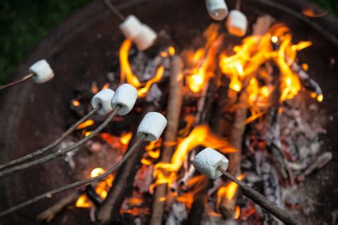 Roasting Marshmallows Over A Campfire Things We Can Still Look
