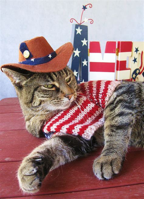 Happy 4th Of July Patriotic Pets Cat Celebrating Patriotic Cat
