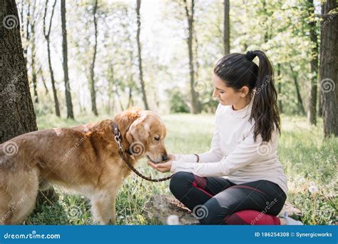 Dog Eating From Woman S Hand In Forest Stock Photo Image Of Nature