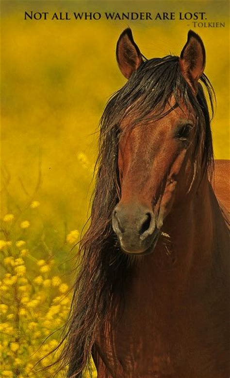 Explore our collection of motivational and famous quotes by authors you know and love. Wild Horse Quotes. QuotesGram