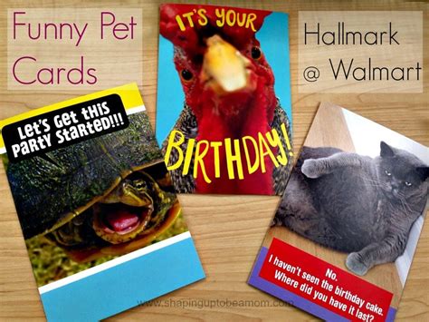 Funny Pet Cards From Hallmark Shaping Up To Be A Mom