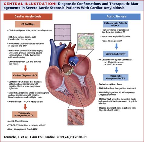 Aortic Stenosis And Cardiac Amyloidosis Jacc Review Topic Of The Week