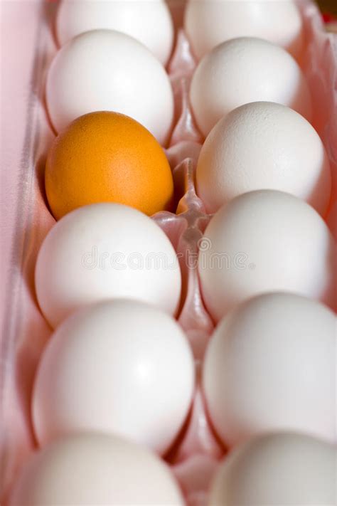 Brown Egg In The Dozen Stock Photo Image Of Compare 21308154