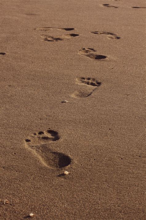 Footprints On Brown Soil Photo Free Footprint Image On Unsplash