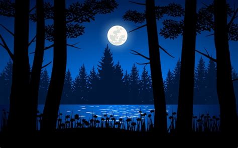 La Nuit Dans La Forêt Avec La Silhouette Des Arbres Et La Pleine Lune