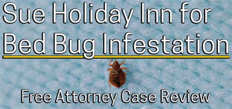 Sue A Holiday Inn For Bed Bug Bites Or A Bed Bug Infestation In My Room