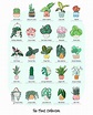 A chart of common houseplants and their botanical names : r/coolguides