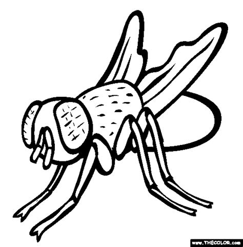 House Fly Coloring Page Free House Fly Online Coloring Insect