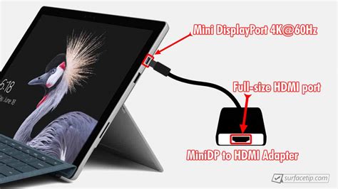 Does Surface Pro 5 Have Hdmi Port Surfacetip